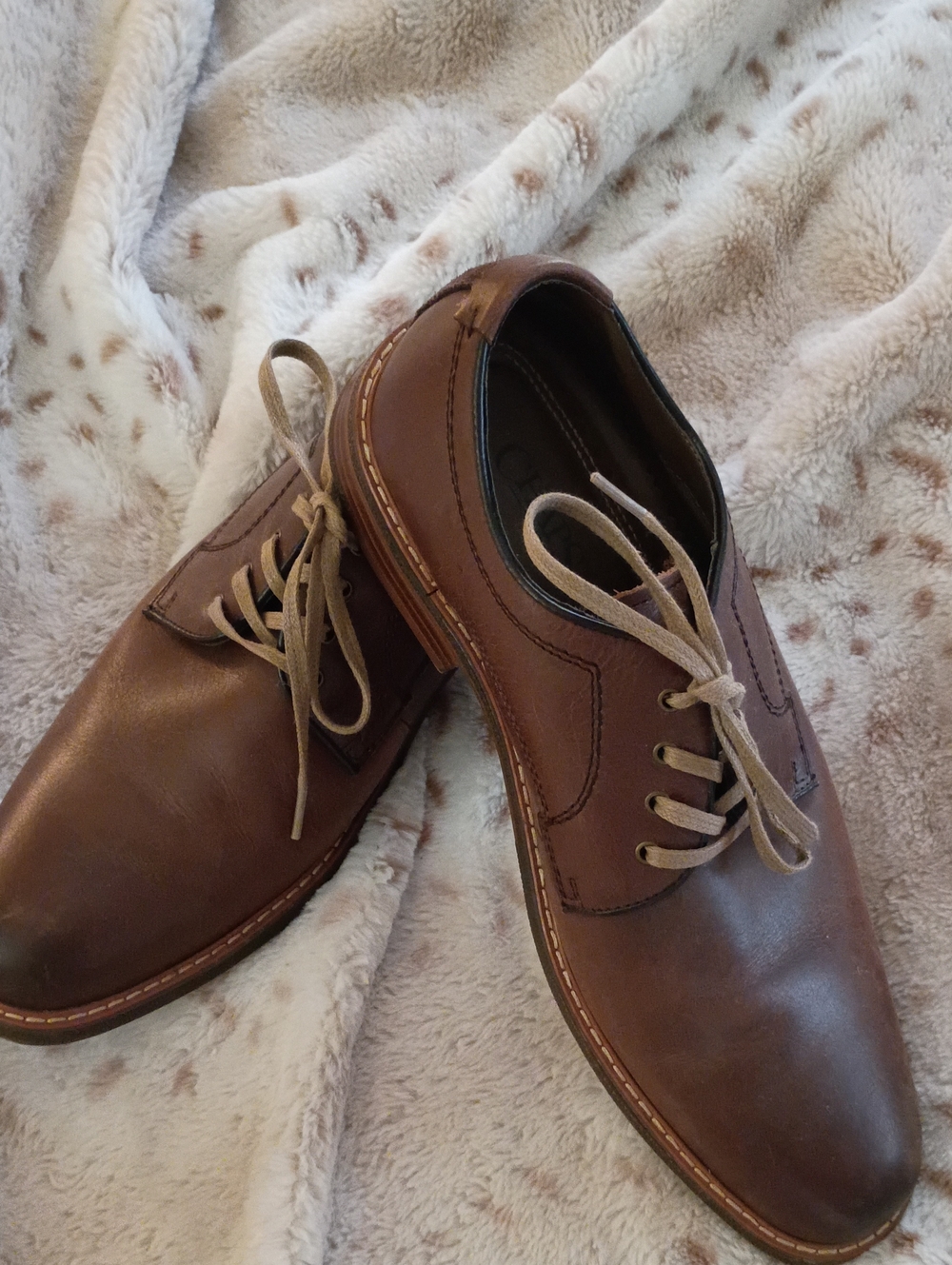 Chaps Brown Leather Derby Shoes with Beige Laces